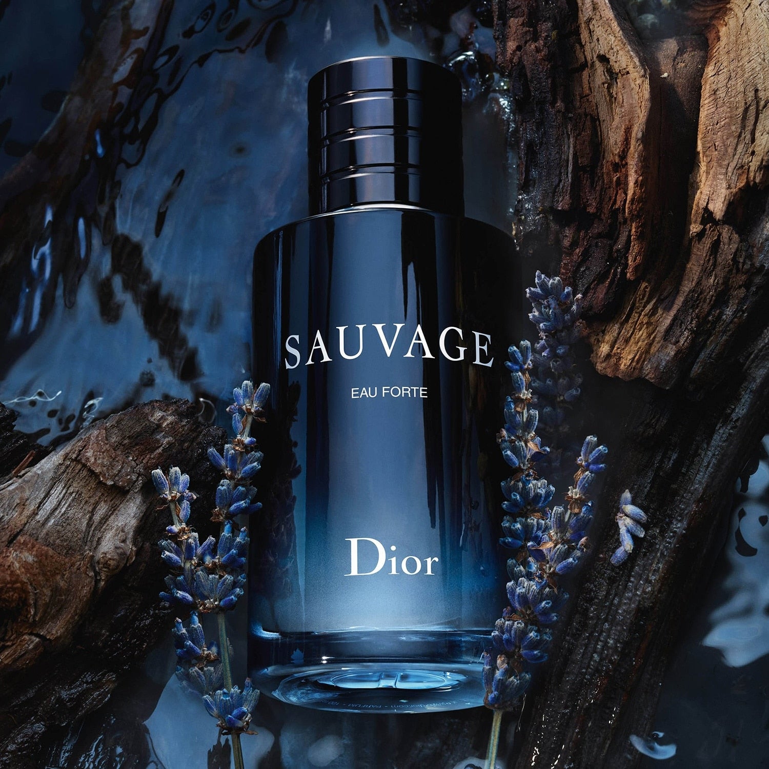 DIOR Sauvage Eau Forte - Parfum 60ML – Elya Shop Cosmétique et